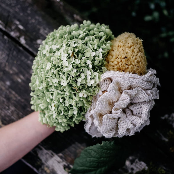 Eine Hand hält eine Sisalblume, einen ungebleichten Naturschwamm und eine dekorative Pflanze.