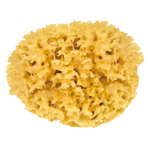 großporiger Badeschwamm aus natürlichen Materialien in runder Form.