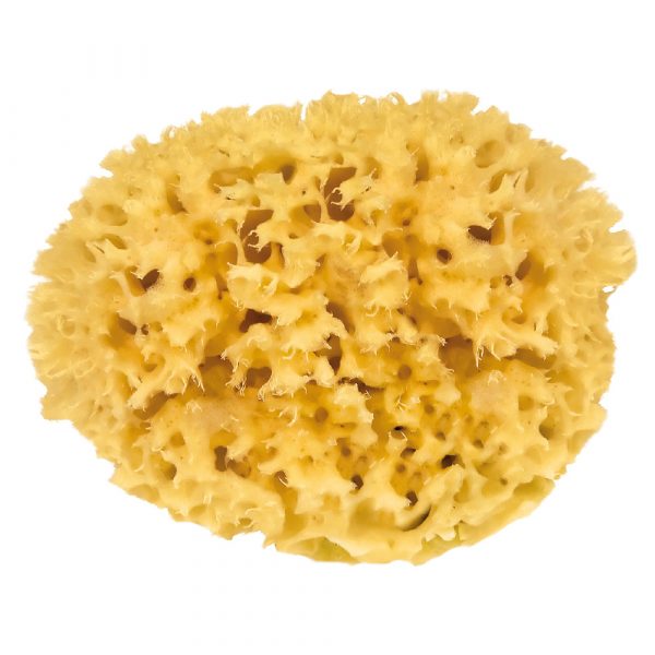 großporiger Badeschwamm aus natürlichen Materialien in runder Form.
